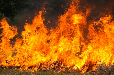 Crisis de Incendios Forestales. La importancia de la cultura de seguridad, prevención y protección